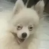 gdjj78ts5g8eheg85tf7w