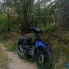 aldowardana11