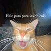 sontrelo