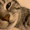 abiralpuree5