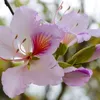 thuy.phan395