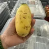 nhutanh457