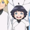 beril_nz