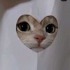 arshnr__