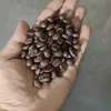 thainguyenanhduy_1988
