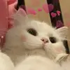 htqh_08