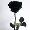 user9721971411036