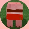 _nuchinhcuocdoianh_
