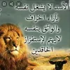 user4819111348198