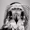 qs_fl
