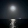 doaa_alsharif8