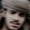 arar_711