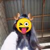 love633362