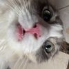 hihelloheywsp1
