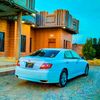 mshassani_333