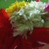 anayetullah266