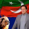 imtiazkhan7518