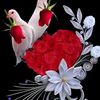 user52363381154683om