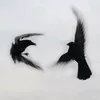 zw_la5