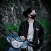 milip2010