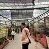 muhdziq_1