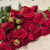 user1882070228179