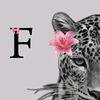 fariha1111111.0