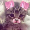 ur_fav_emi5