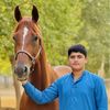 chfalakshairgujjar2