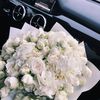 nour12s15