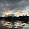 als_485