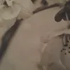 ellabellabingo472