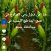 user6619258471902