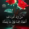 ayham06374