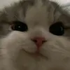 thayla_geovana7