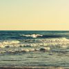 donya.alhbazzi