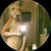 edgar.tc7
