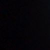 sapinn_137