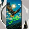 farzadtanga011