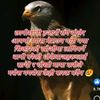susmita.thapa2