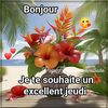 user6602530313531
