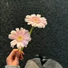 linhnef.12