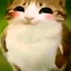 gigglefarter4