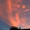 chinhtrixahoidoisong25