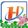 hnglng387