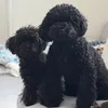 ohagi_0305