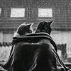 _majid_21