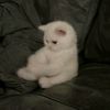 m4salma_