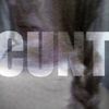pl7t0_