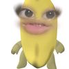 wilissukaruto